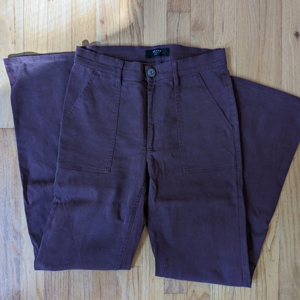 Brass clothing scout pants